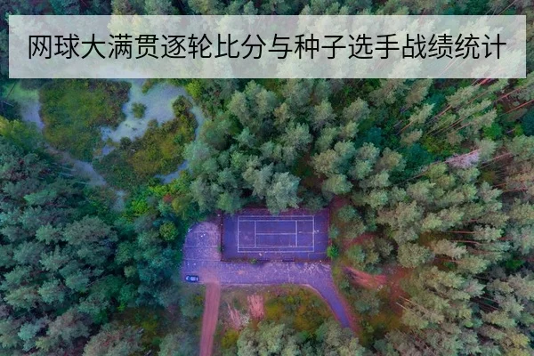 网球大满贯逐轮比分与种子选手战绩统计